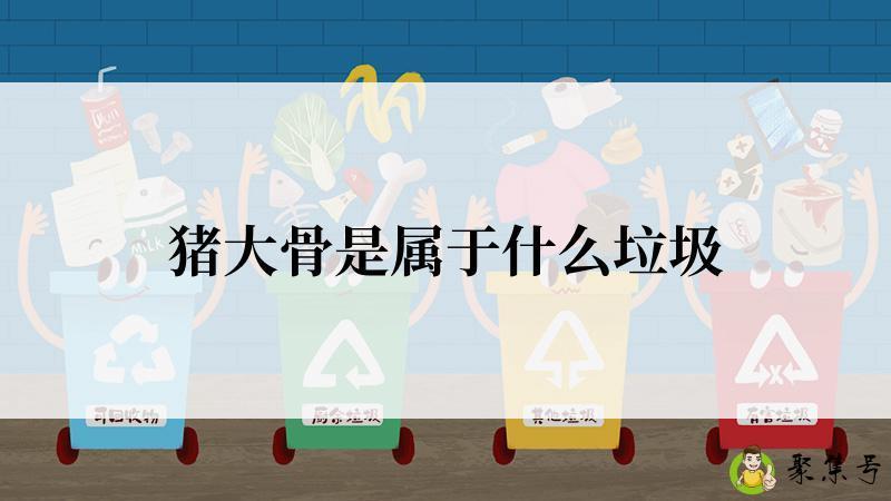 猪大骨是属于什么垃圾