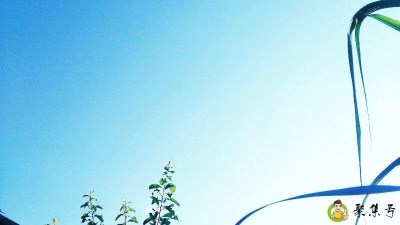 小姑子是家人还是亲戚