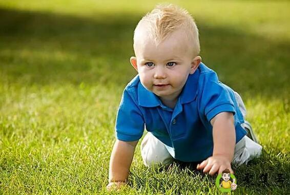 吞金兽什么意思