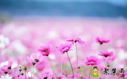 wr网络用语什么意思