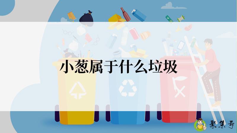 小葱属于什么垃圾