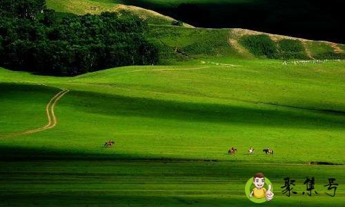 马马嘟嘟骑是什么意思