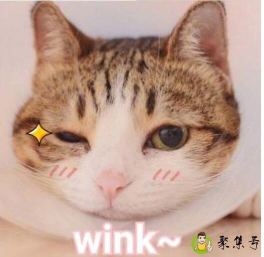 wink是什么意思网络用语