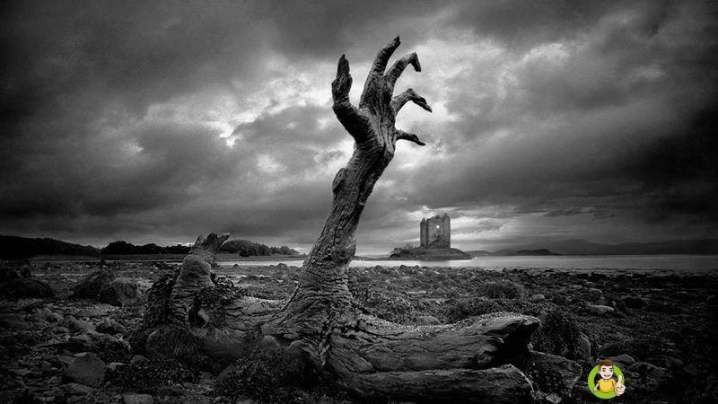 两段三清是什么