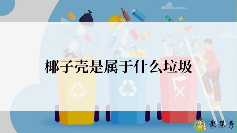 椰子壳是属于什么垃圾