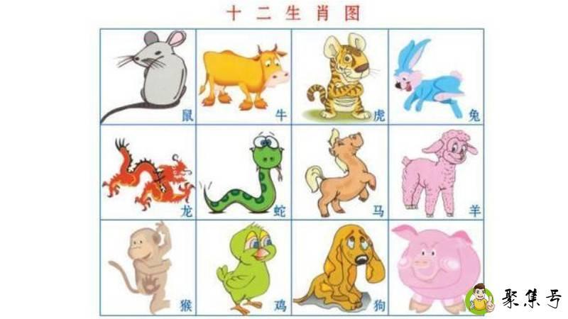 色肖指哪个生肖