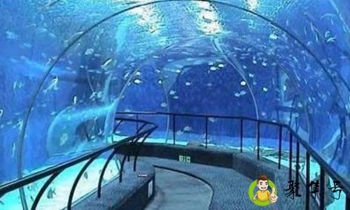 南京有海洋馆吗