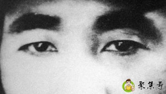 虎眉和扫帚眉区别