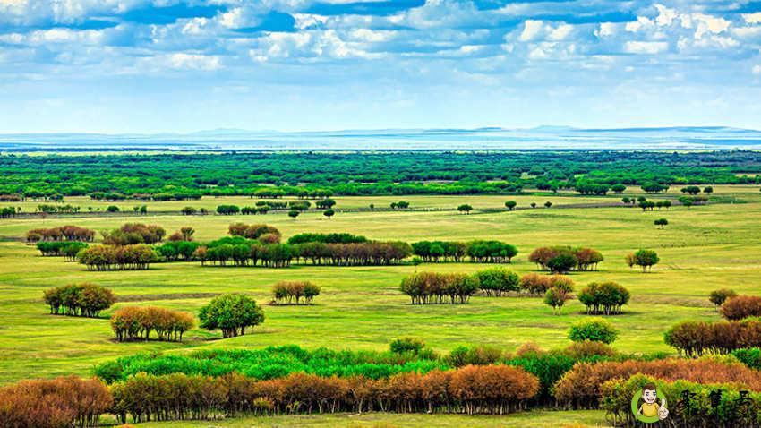 呼伦贝尔在哪里个省份