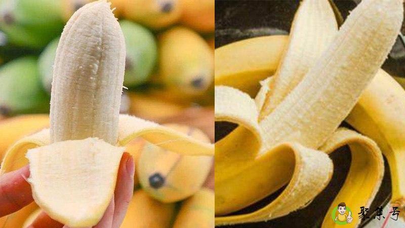 小米蕉和香蕉的区别