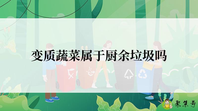变质蔬菜属于厨余垃圾吗