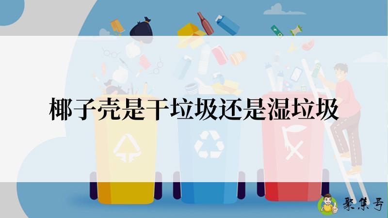 椰子壳是干垃圾还是湿垃圾