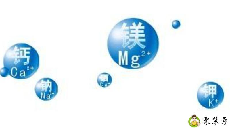 什么是三大类岩石的主体