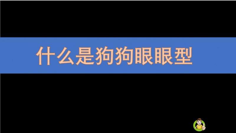 狗狗眼是什么眼型