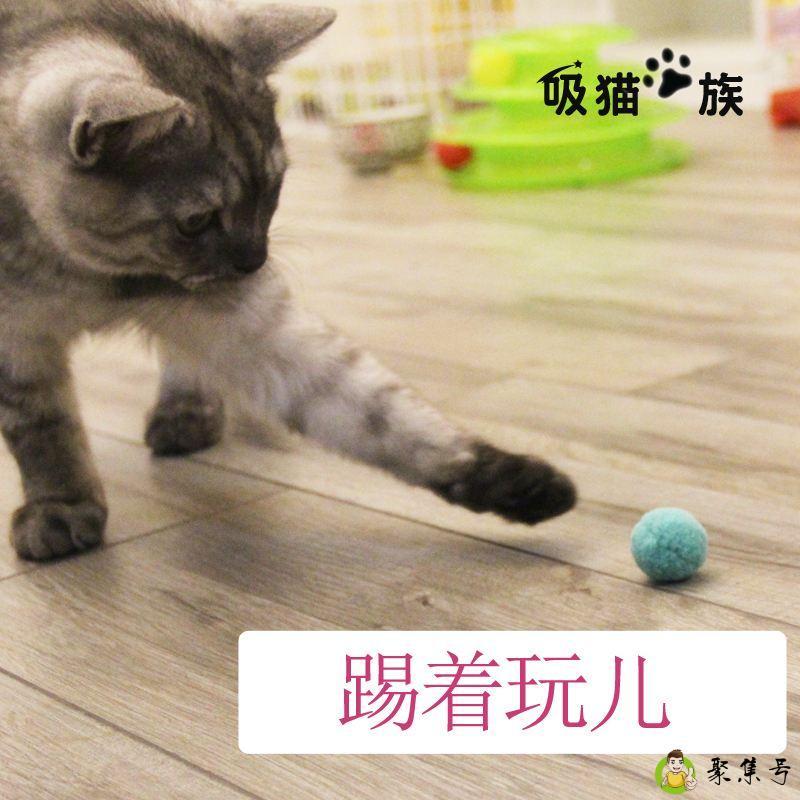 抖音上吸猫是什么意思