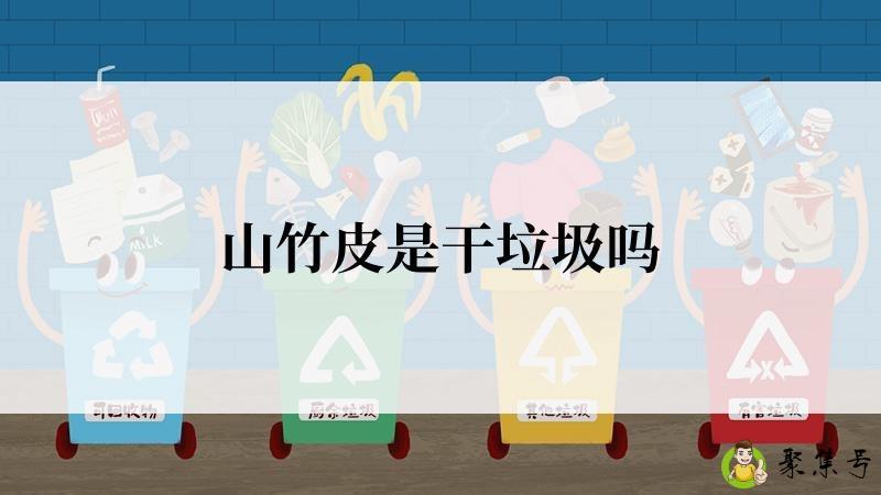 山竹皮是干垃圾吗