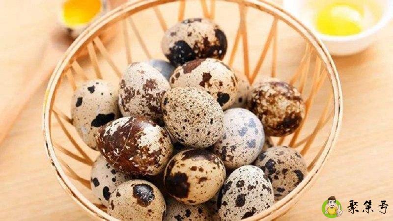 鸽子蛋鹌鹑蛋营养区别