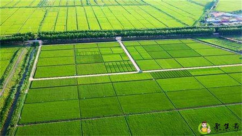 一百亩地有多大