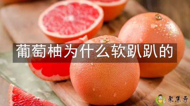 葡萄柚为什么软趴趴的