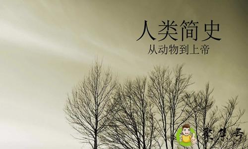 人类简史多少字