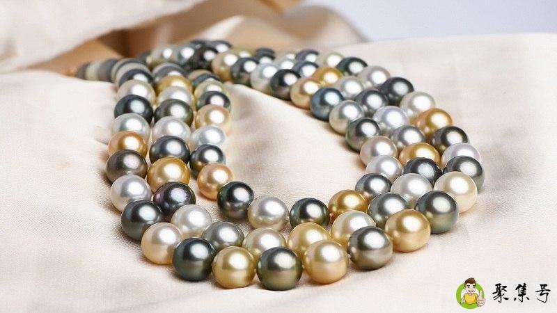 南洋白珠和澳白的区别