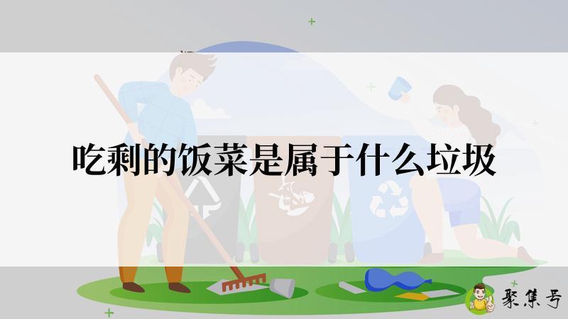 吃剩的饭菜是属于什么垃圾