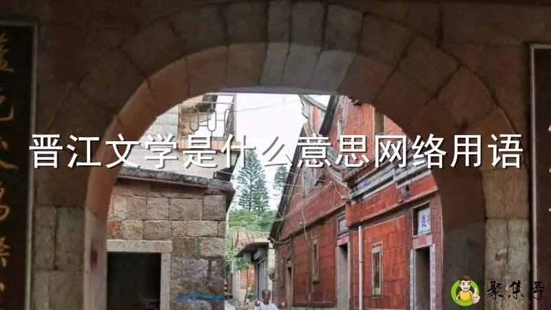 晋江文学是什么意思网络用语