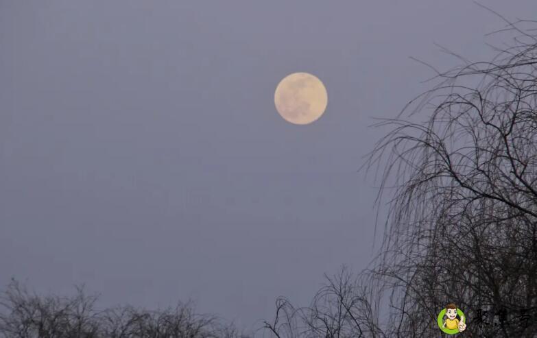 腊月十六的月亮在东方又圆又亮大约几点