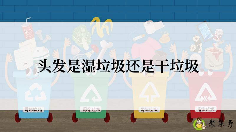 头发是湿垃圾还是干垃圾