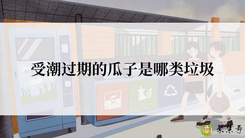 受潮过期的瓜子是哪类垃圾