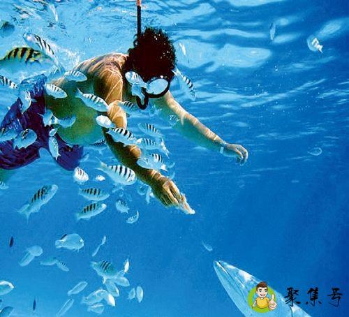 考潜水证有什么用处