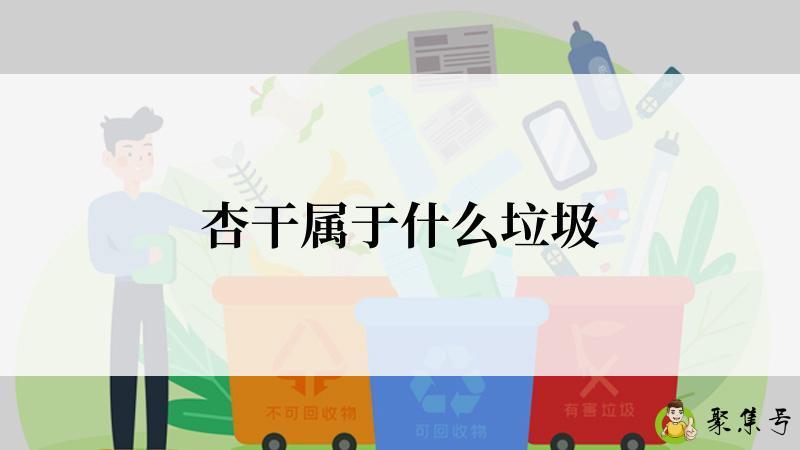 杏干属于什么垃圾