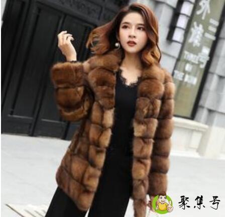 加拿大紫貂和俄罗斯紫貂区别