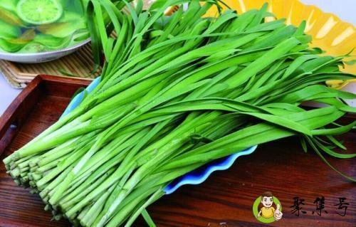 韭菜要不要焯水