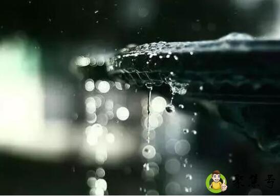 半山听雨的寓意是什么