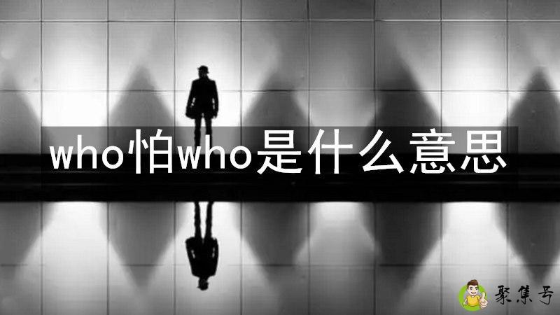 who怕who是什么意思