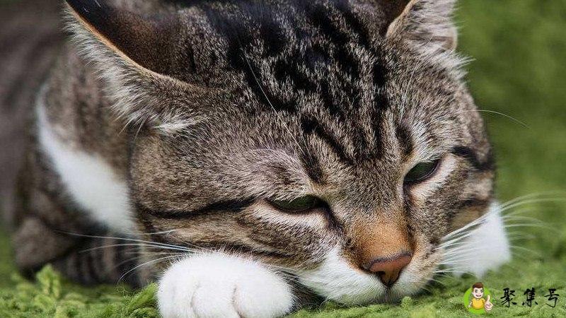 详细阅读:你无法叫醒一个装睡的人后半句 你无法叫醒一个装睡的人后半句