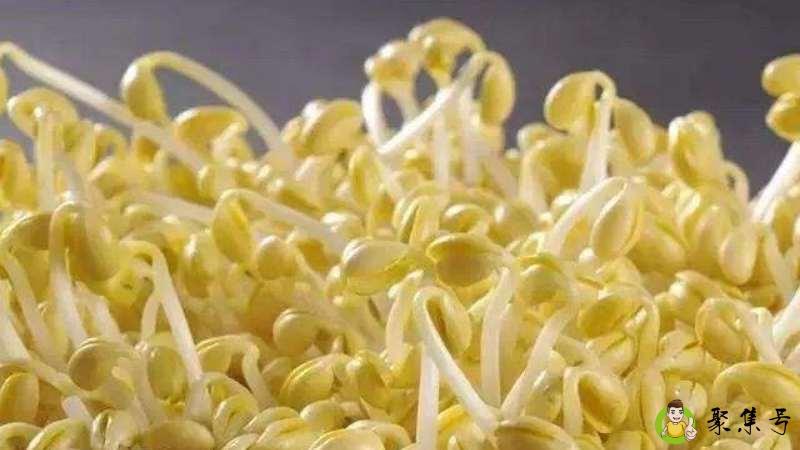 详细阅读:拔豆芽网络是什么意思 拔豆芽网络是什么意思