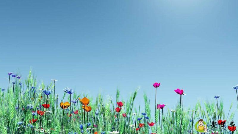 详细阅读:几九就开始暖和了 几九就开始暖和了