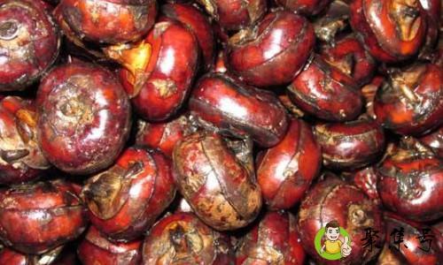 详细阅读:水果马蹄又叫什么 水果马蹄又叫什么