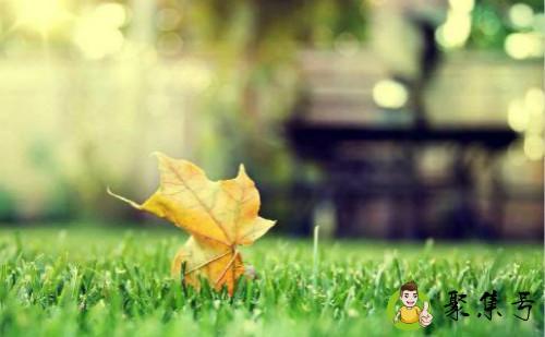 如何提升自己的修养