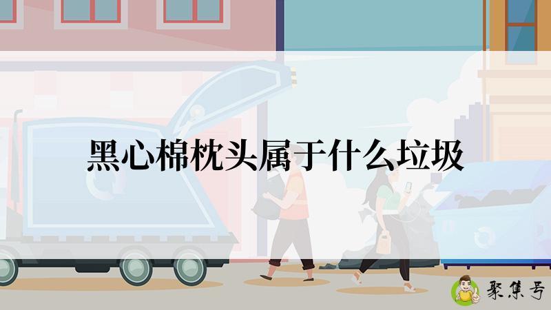 详细阅读:黑心棉枕头属于什么垃圾 黑心棉枕头属于什么垃圾