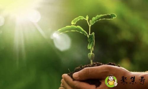 详细阅读:现世报应是什么意思 现世报应是什么意思