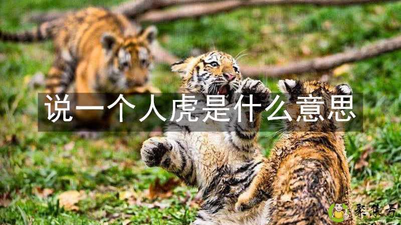详细阅读:说一个人虎是什么意思 说一个人虎是什么意思