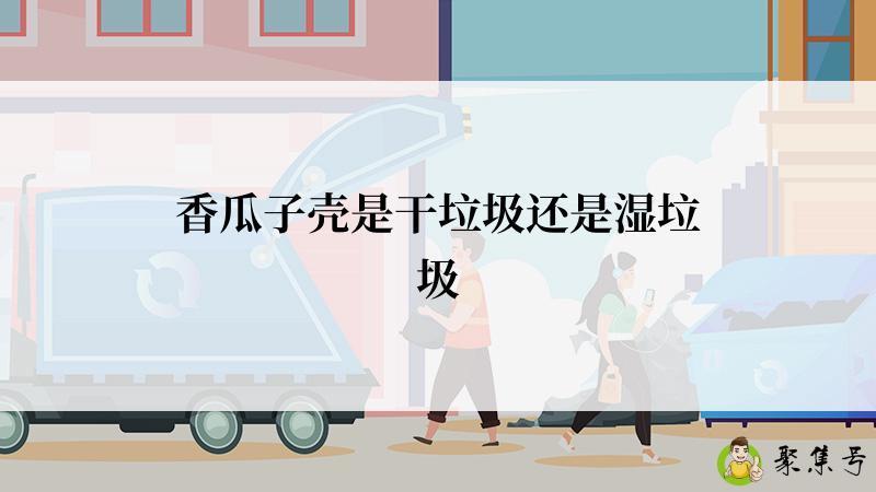 香瓜子壳是干垃圾还是湿垃圾