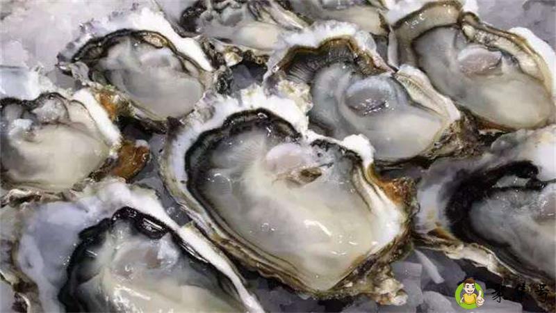 详细阅读:生蚝的储存冷冻还是冷藏 生蚝的储存冷冻还是冷藏