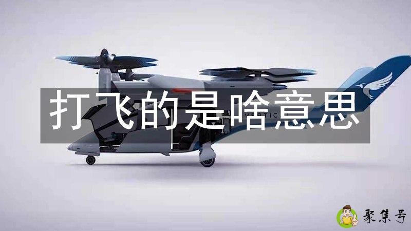 详细阅读:打飞的是啥意思 打飞的是啥意思