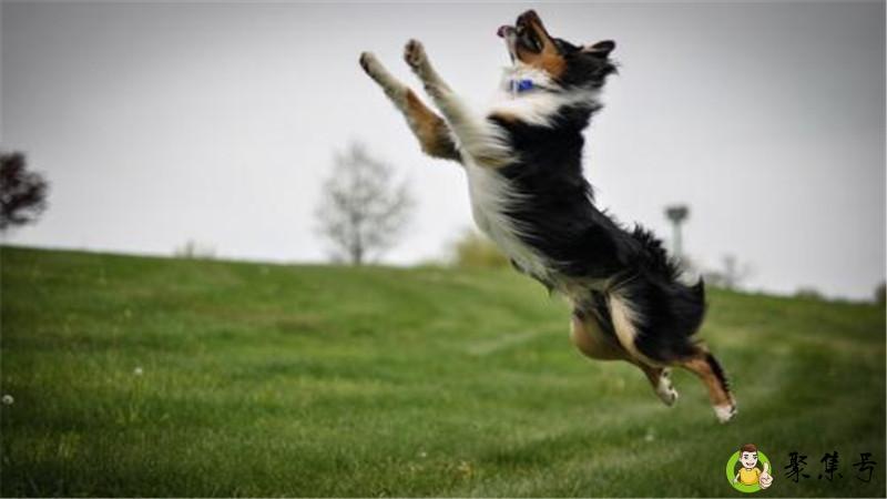 详细阅读:噌的一下是什么意思 噌的一下是什么意思