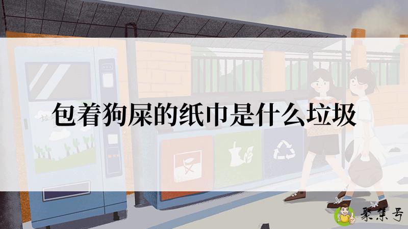 包着狗屎的纸巾是什么垃圾