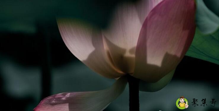 详细阅读:夏至和立夏有什么区别 夏至和立夏有什么区别